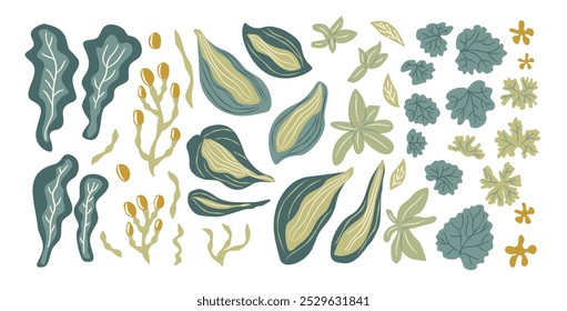 Variedade colorida de folhas estilizadas e plantas em vários formatos e tamanhos. Ilustração de coleção desenhada à mão do vetor isolada no fundo branco.