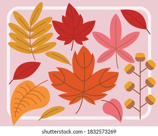 Conjunto de hojas de otoño coloridas