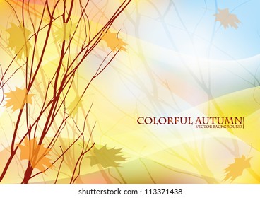 Colorful autumn background