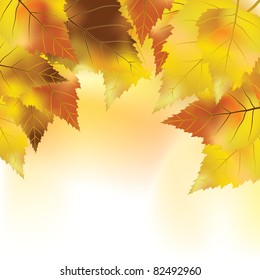 Colorful autumn background. Vector illustration