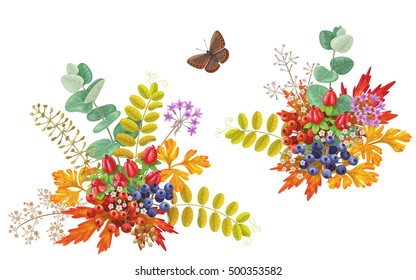 Colorful autumn bouquets with flowers, berries and butterfly isolated on white. Fall foliage and berry floral elements decoration.