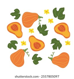 Colorful autumn butternut squash and leaves pattern design.