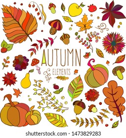 Colorful autumn doodle set. Nature collection of autumn elements of hand drawn. Floral background.