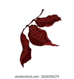 Colorful autumn dry leaves. Seasonal botanical elements. Vector graphics.