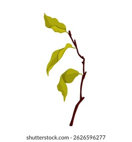 Colorful autumn dry leaves. Seasonal botanical elements. Vector graphics.