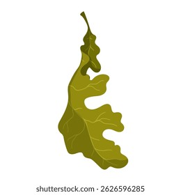 Colorful autumn dry leaves. Seasonal botanical elements. Vector graphics.