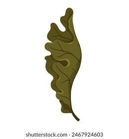 Colorful, autumn dry oak leaf. Vector graphics.