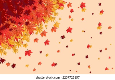 Colorful Autumn fall leaves floral background illustration