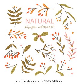 Colorful autumn floral design elements. Vector tree branches and berry in hand drawn style. Cute natural decor. Isolated on the white background.