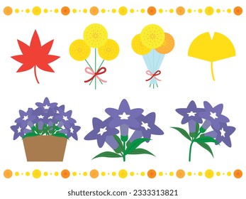 Colorful autumn flowers illustration set
