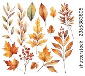Colorful autumn foliage fall leaf watercolor vector collection set