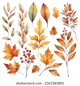 Colorful autumn foliage fall leaf watercolor vector collection set