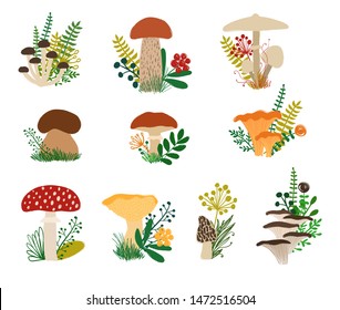 Colorful autumn forest set with fungi and plants. Mushroom collection - honey agaric, aspen, parasol, porcini, chanterellel, fly agaric, slippery jack, hedgehog, morel, oysters.