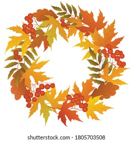 Colorful autumn frame with leaves, herb spikelets, oak acorns and bunches of viburnum fruits
