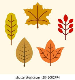 colorful autumn leaf element illustration for sticker.