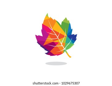 Colorful Autumn Leaf Logo Design Template, Element Design, Vector Design