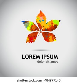Colorful autumn leaf. Vector