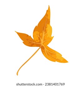 Colorful autumn leaf. Vector graphics.