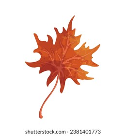 Colorful autumn leaf. Vector graphics.