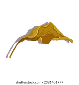 Colorful autumn leaf. Vector graphics.