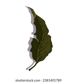 Colorful autumn leaf. Vector graphics.
