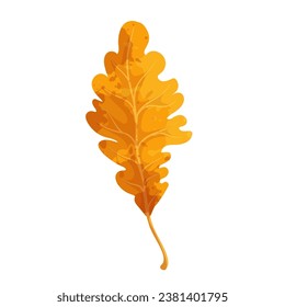 Colorful autumn leaf. Vector graphics.