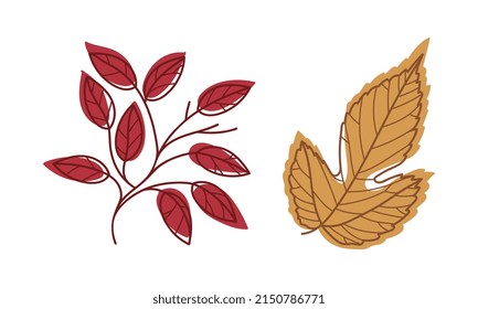 Colorful Autumn Leaf with Veins as Seasonal Foliage on Stem Vector Set