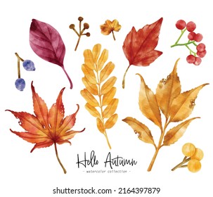 Colorful Autumn Leaf watercolor illustration for Decorative Element
