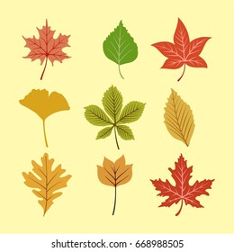 Colorful Autumn Leave Set