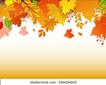 El otoño colorido deja un patrón abstracto decorado de fondo con espacio para tu mensaje.