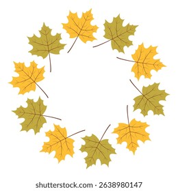 Colorful autumn leaves arranged in a circular pattern on a white background showcasing seasonal beauty and nature's artistry