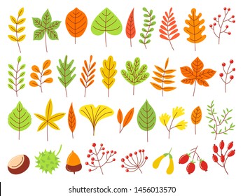 Colorful autumn leaves. Autumnal yellow leaf, forest nature orange leafage and september red leaves. Chestnut, dog rose and viburnum or foliage leaf. Flat isolated icons vector set