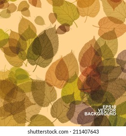Colorful Autumn Leaves Background