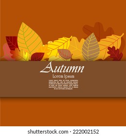 Colorful autumn leaves background