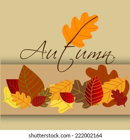 Colorful autumn leaves background