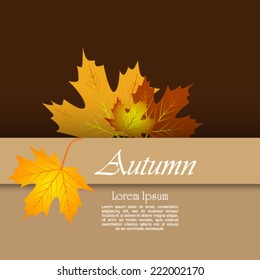 Colorful autumn leaves background