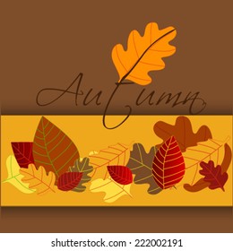 Colorful autumn leaves background
