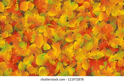 Colorful autumn leaves background illustration