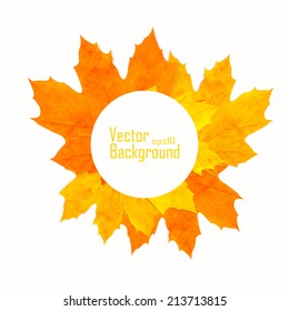 Colorful autumn leaves background Vector