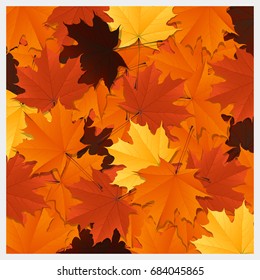 Colorful autumn leaves background , vector , illustration 