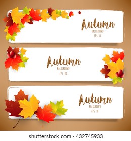 Colorful autumn leaves of banners.Vector