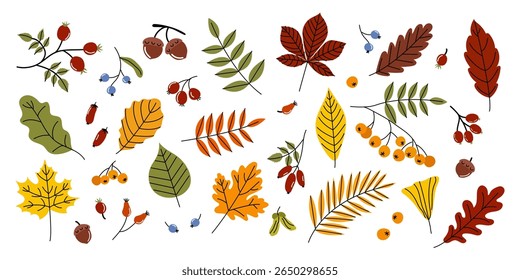Colorful autumn leaves and berries arranged in a decorative pattern showcasing the beauty of fall foliage and fruits