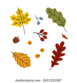 Colorful autumn leaves and berries arranged in a playful design perfect for seasonal decor and craft projects