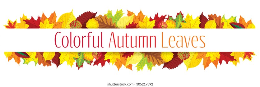 Colorful autumn leaves border, vector illustration