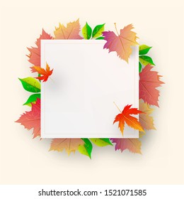 Colorful autumn leaves decorated white empty paper given for your message. Can be used as poster or greeting card design.