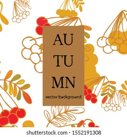Colorful autumn leaves falling and spinning. Vector background