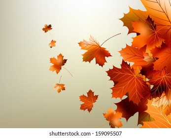 Colorful autumn leaves falling and spinning. And also includes EPS 10 vector