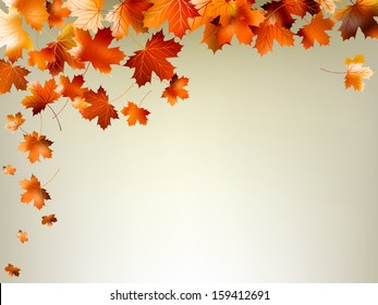 Colorful autumn leaves falling and spinning. And also includes EPS 10 vector