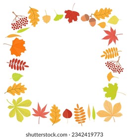 Colorful autumn leaves frame, wreath, border hand drawn illustration. Cartoon style flat design, isolated vector. Kids fall print, seasonal decorative element, plants, foliage, nature
