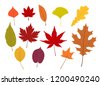 fall leaves clip art